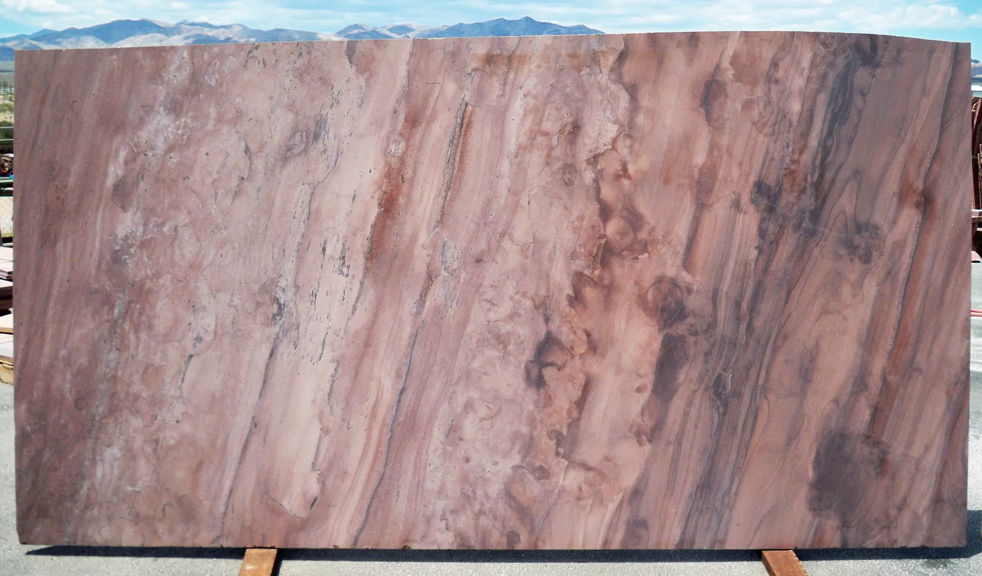 Full slab of Desert Blend Meta Quartzite featuring warm desert browns, rose, taupe, and charcoal veining quarried in Nevada.